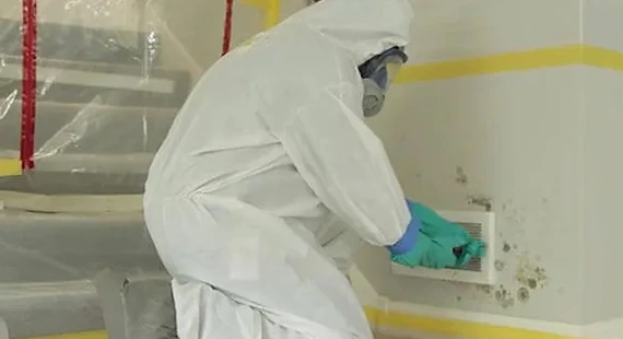 Our Mold Removal Process A Proven Path to Clean Air